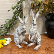 Hunched & Standing Rabbits