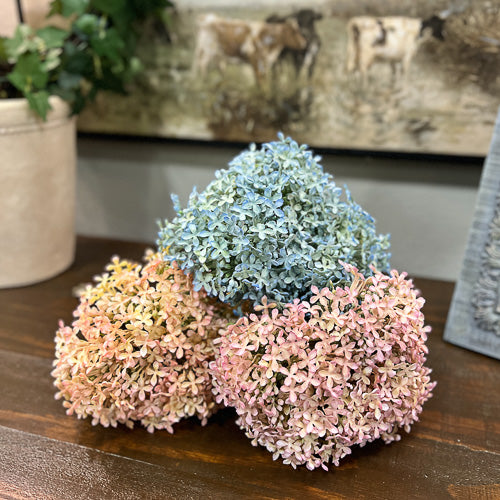 Snowball Flower Bundle