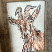 Framed Goat Picture