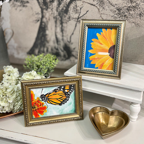 Framed Print