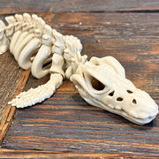 Mosasaur Skeleton