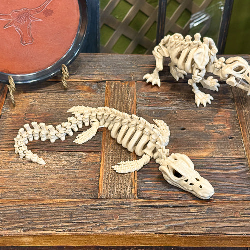 Mosasaur Skeleton