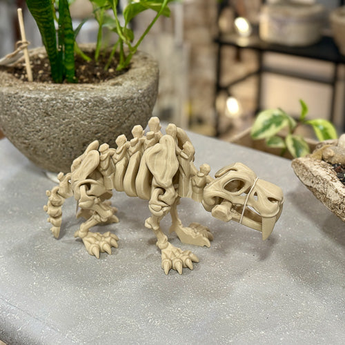Sabertooth Skeleton