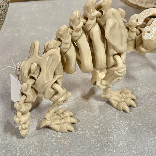 Sabertooth Skeleton