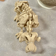 Sabertooth Skeleton