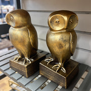 Owl Bookends Set