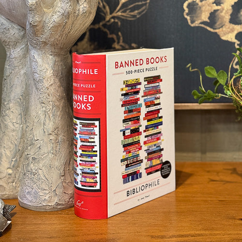 Banned Books Puzzle