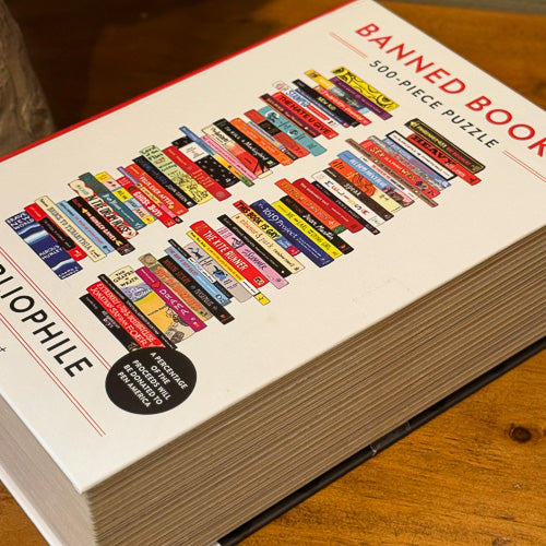 Banned Books Puzzle