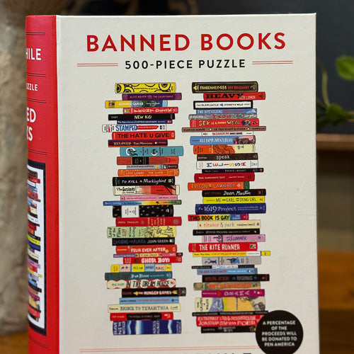 Banned Books Puzzle