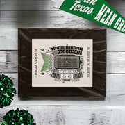 Texas University Football Stadium Art Print