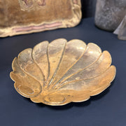 Gold Shell Tray