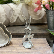 Glass Rabbit