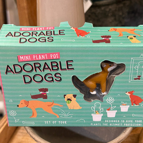 Pet Mini Plant Markers