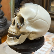 Skull Decor