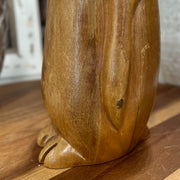 Carved Penguin