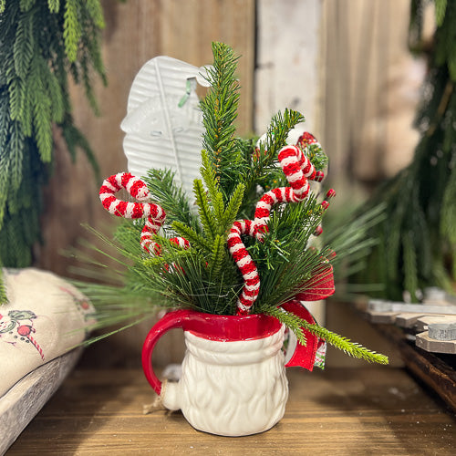 Santa Mug Arrangement