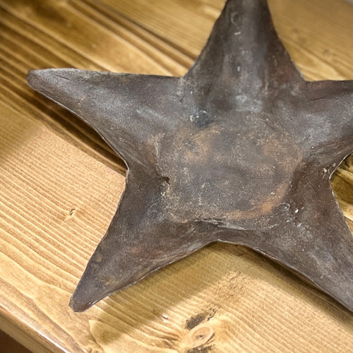 Metal Star Tray