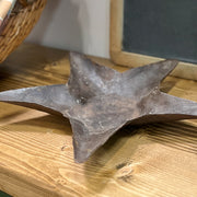 Metal Star Tray