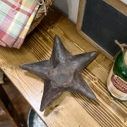 Metal Star Tray