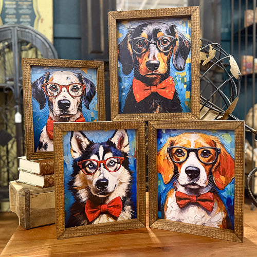 Dog in Glasses