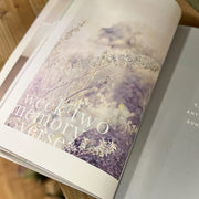Never Alone Bible Study