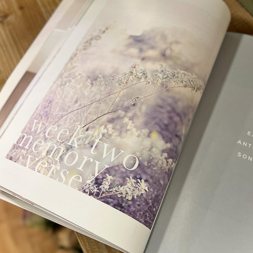 Never Alone Bible Study