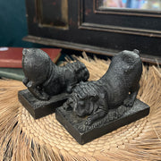 Bulldog Bookends and Books