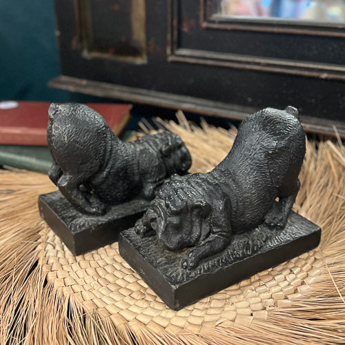 Bulldog Bookends and Books