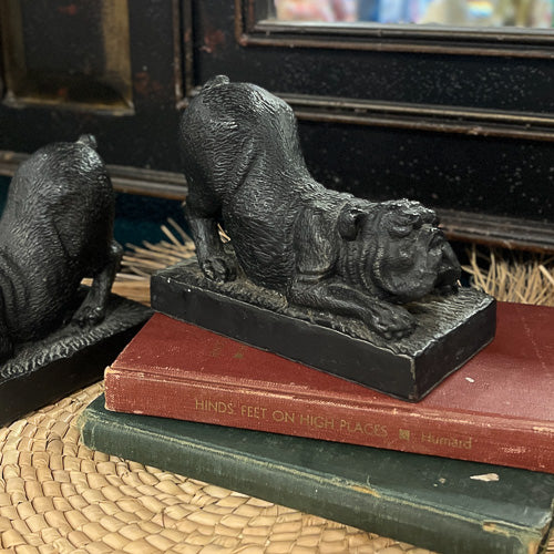 Bulldog Bookends and Books