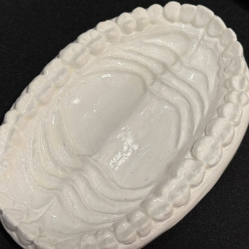 Teeth Soap Dish
