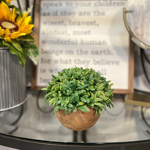 Round Greenery Clay Pot