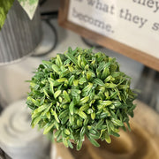 Round Greenery Clay Pot