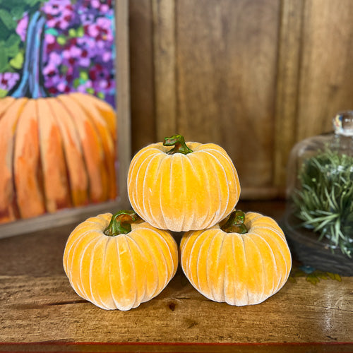 Orange Velvet Pumpkin