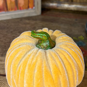 Orange Velvet Pumpkin