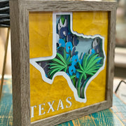 Framed Texas 3D Paper Craft