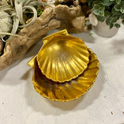 Pickard Gold Sea Shells Set