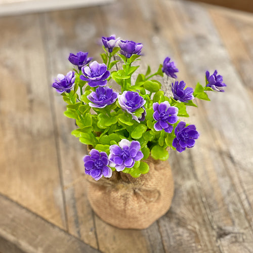 Purple Flowers In Burlap