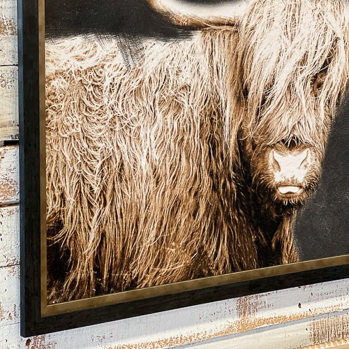 Longhorn Cow Art